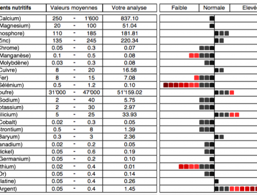 analyse minérale des cheveux par Propos Bio, minéraux, métaux lourds, ratio des minéraux